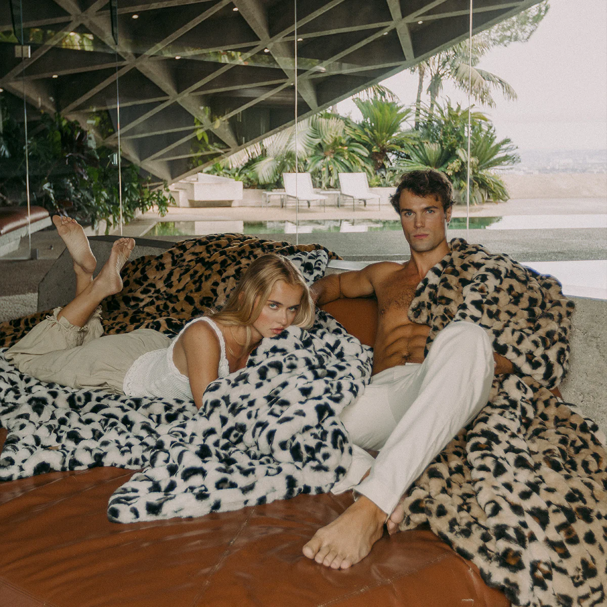 Golden Leopard - Image 5